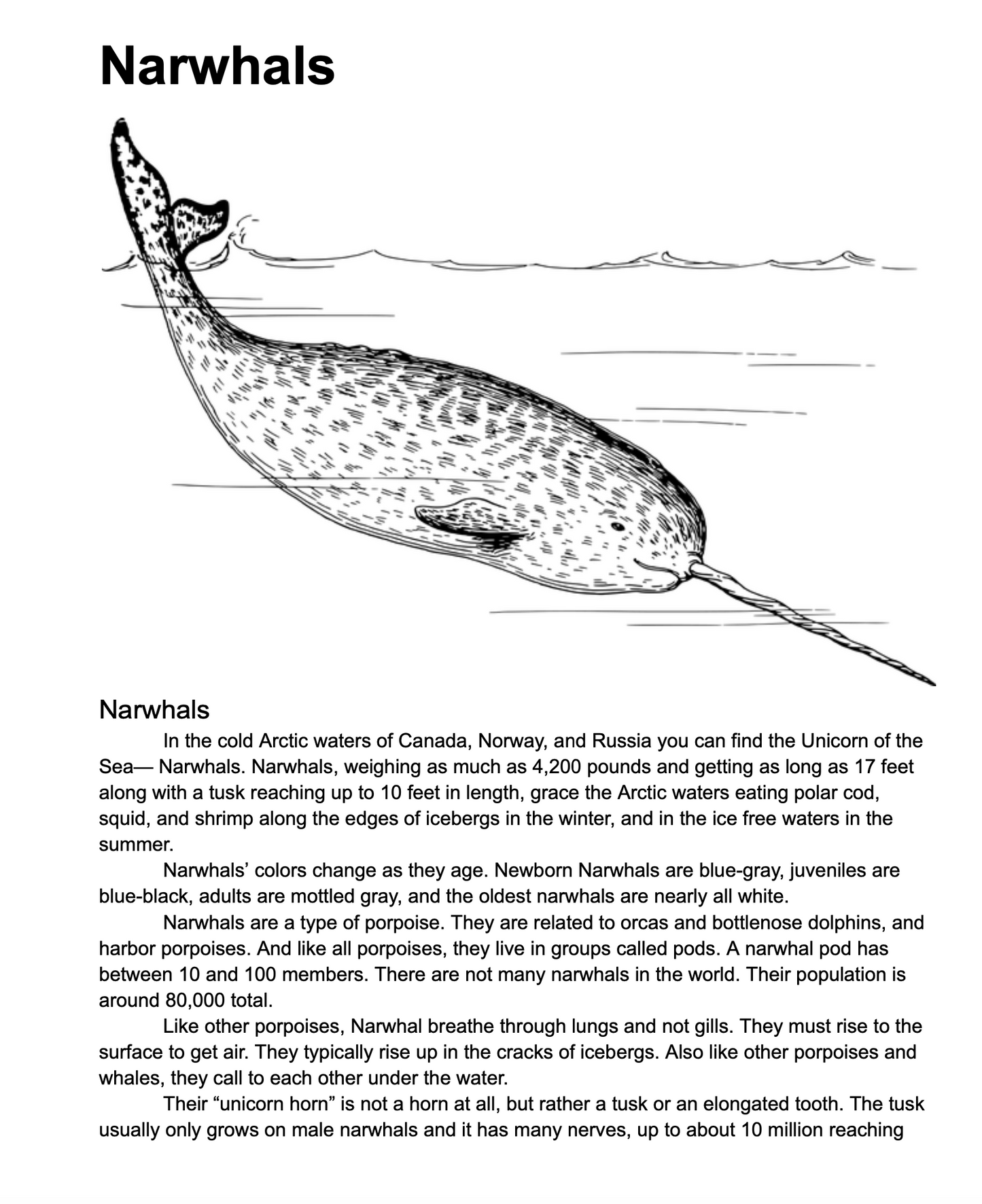 Ocean Mammals for Elementary Ages