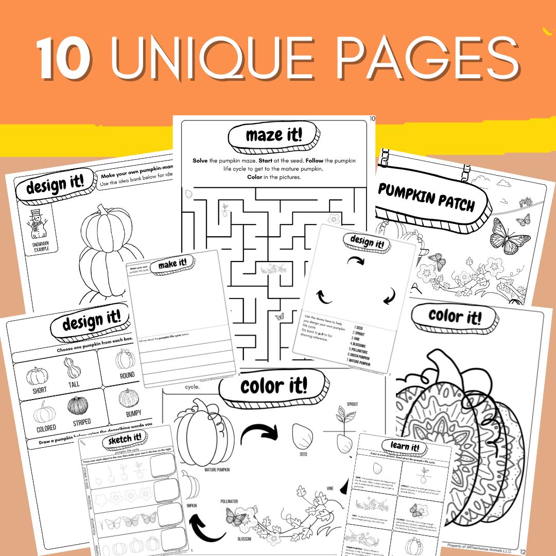 Pumpkin Life Cycle Coloring Pages and Activities for Kids Who Love Learning Science Through Art