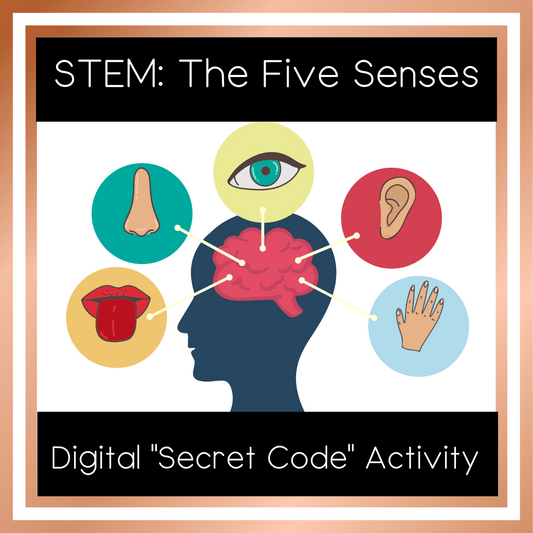 STEM: The Five Senses | Digital Resource Activity | 3rd-6th Grades