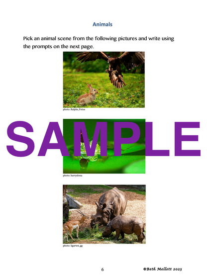 Writing Prompts Using Pictures 45-Page Book
