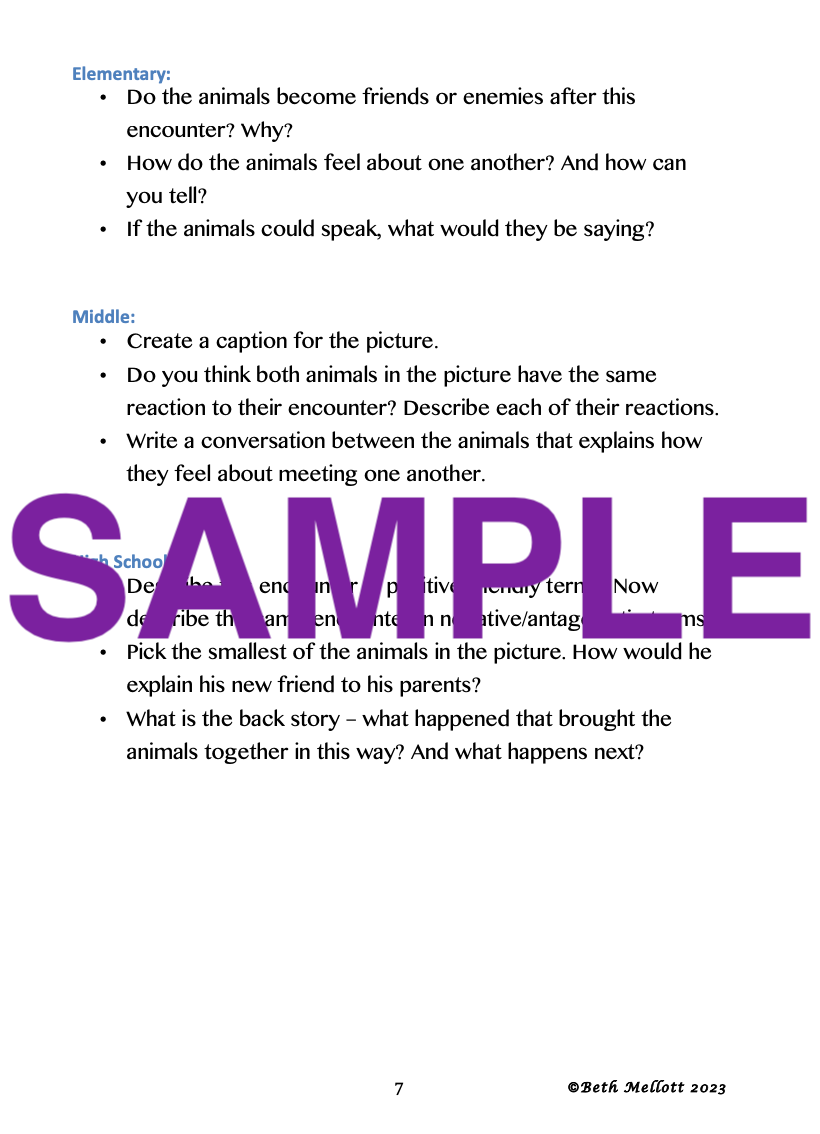 Writing Prompts Using Pictures 45-Page Book