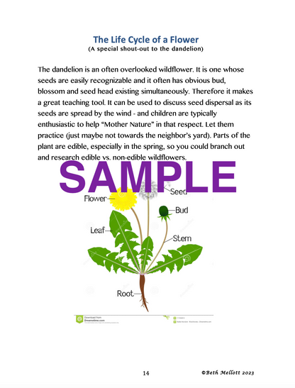 Backyard Wildflower Unit Study (19-Page Workbook)