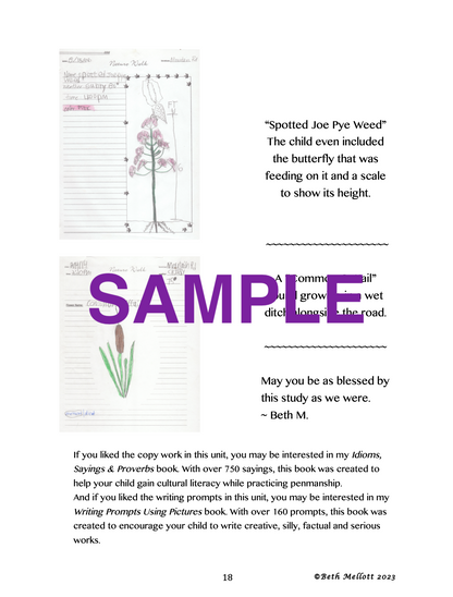 Backyard Wildflower Unit Study (19-Page Workbook)
