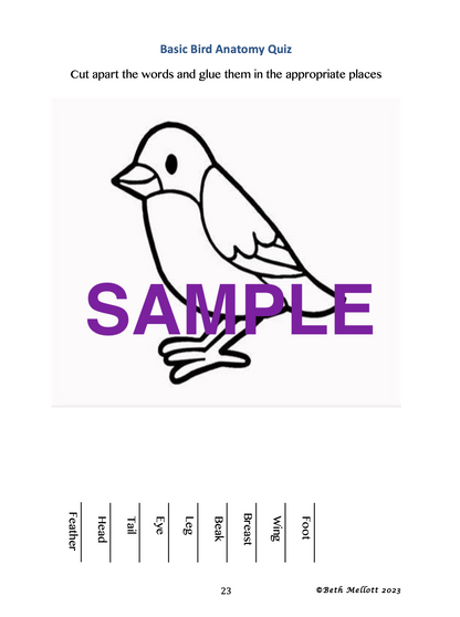 Backyard Bird Unit Study (26-Page Unit)