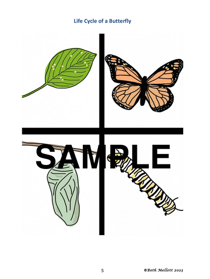 Summer Fun – With Butterflies and Wildflowers (12-Pages)
