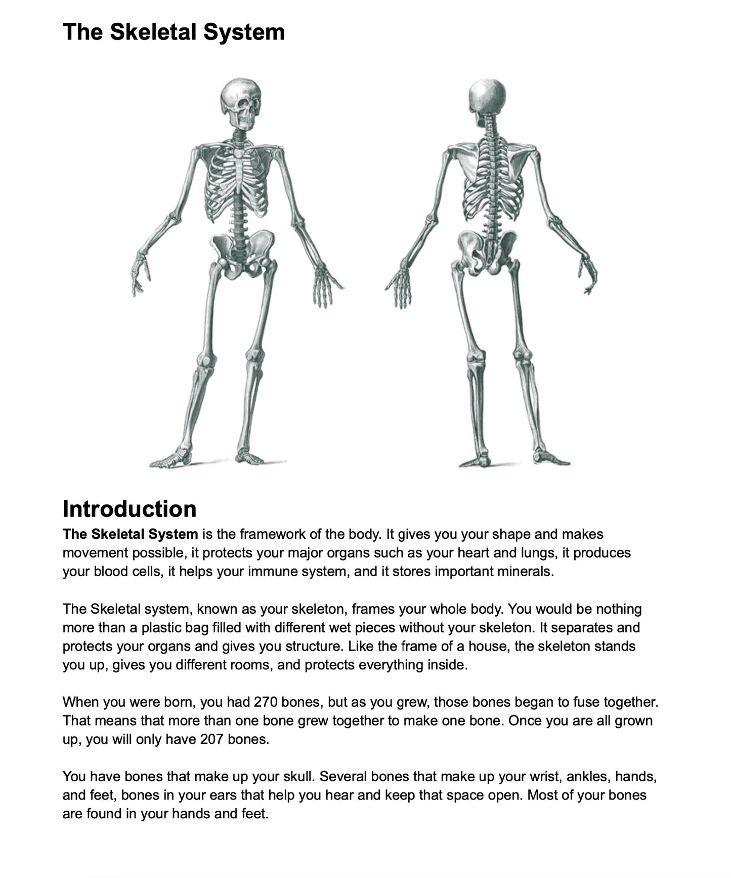 The Skeletal System