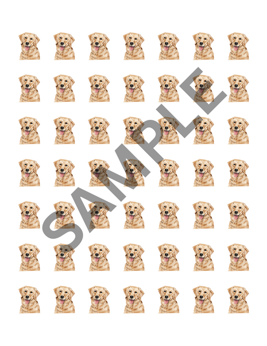 Square Game: Golden Retriever