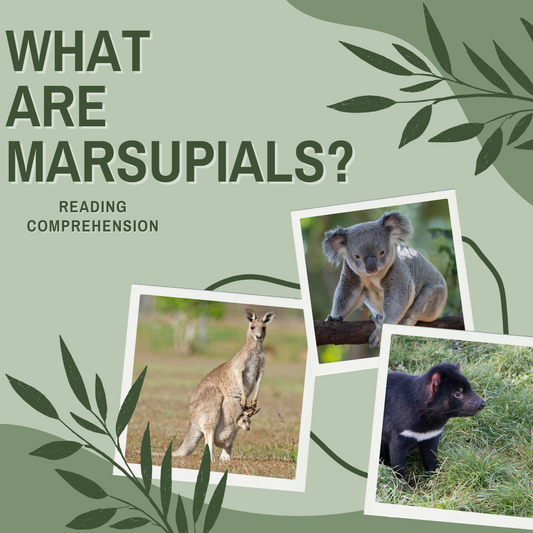 Reading Comprehension + Writing Prompt: What are Marsupials? for Grade 5