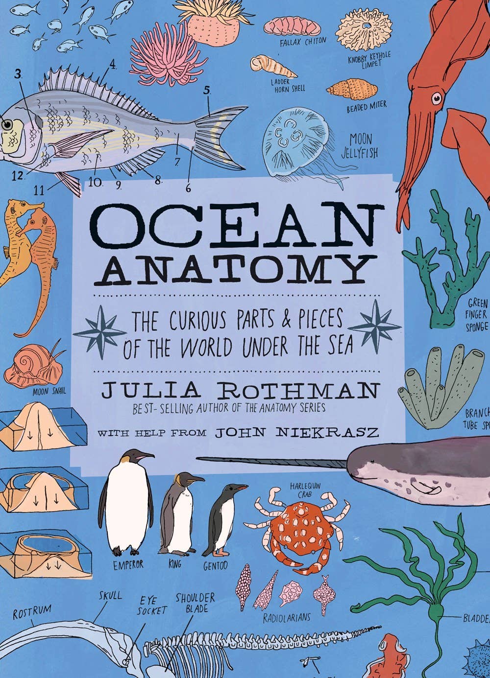 Ocean Anatomy: The Curious Parts & Pieces : Trade Paperback