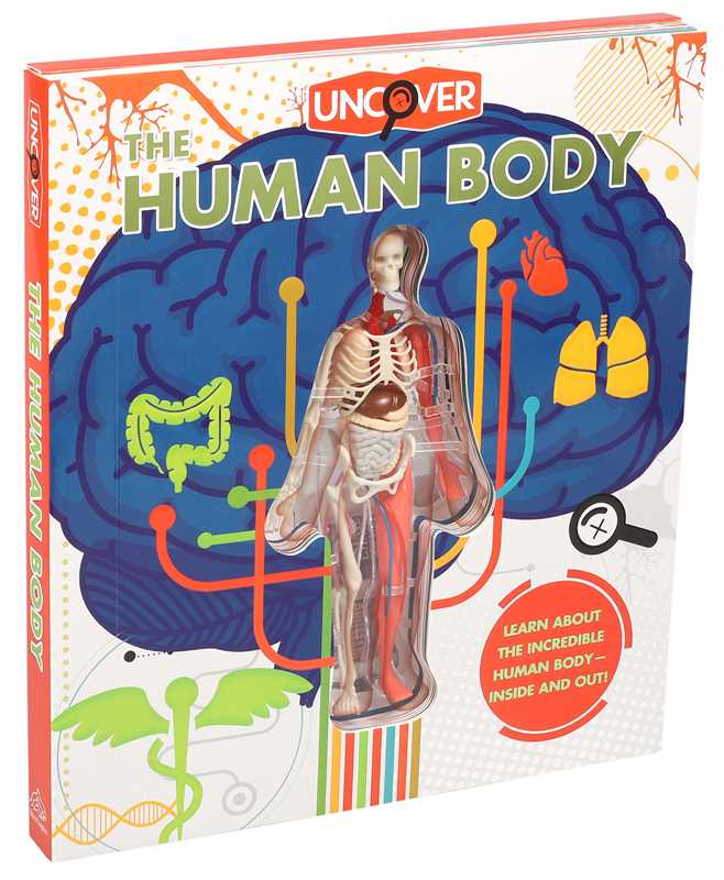 Uncover the Human Body by Luann Colombo: Hardcover; 16 pages / English
