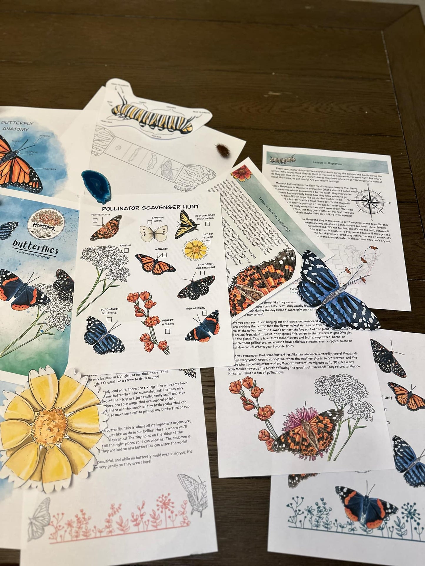 Butterflies Unit Study