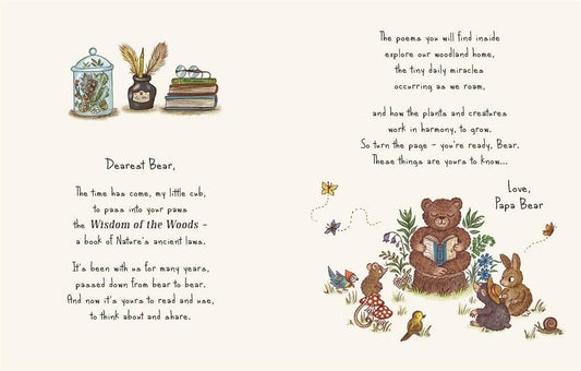 Brown Bear Wood: Wisdom of the Woods