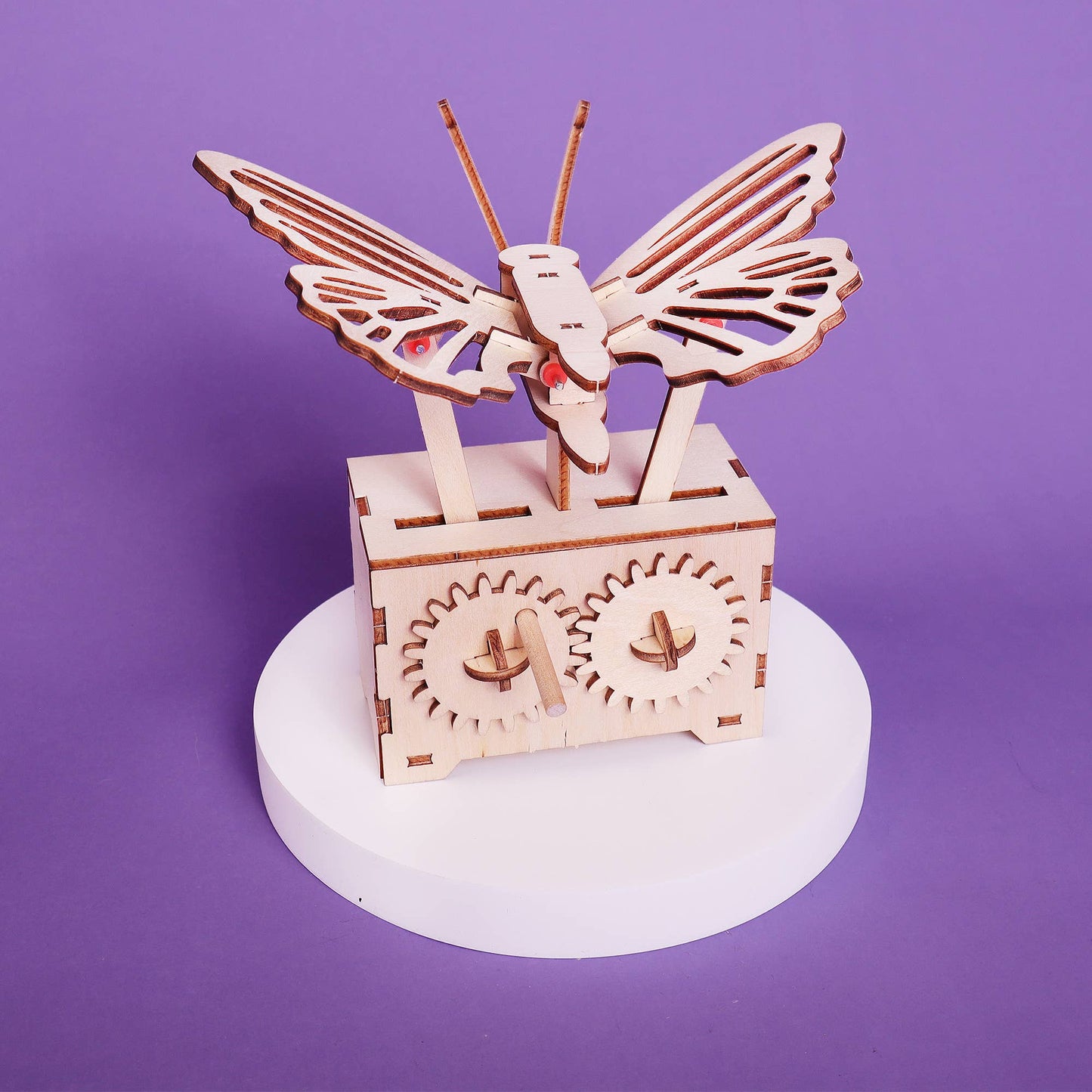 Fluttering Butterfly DIY Kit, Educational STEM Toy for Kids