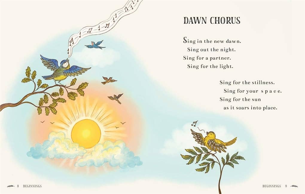 Brown Bear Wood: Wisdom of the Woods
