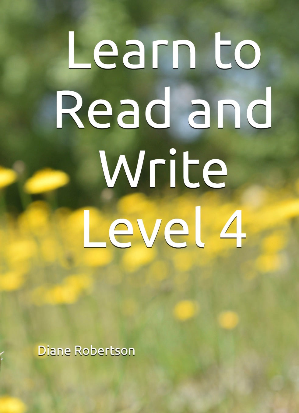 Learn to Read and Write Level 4