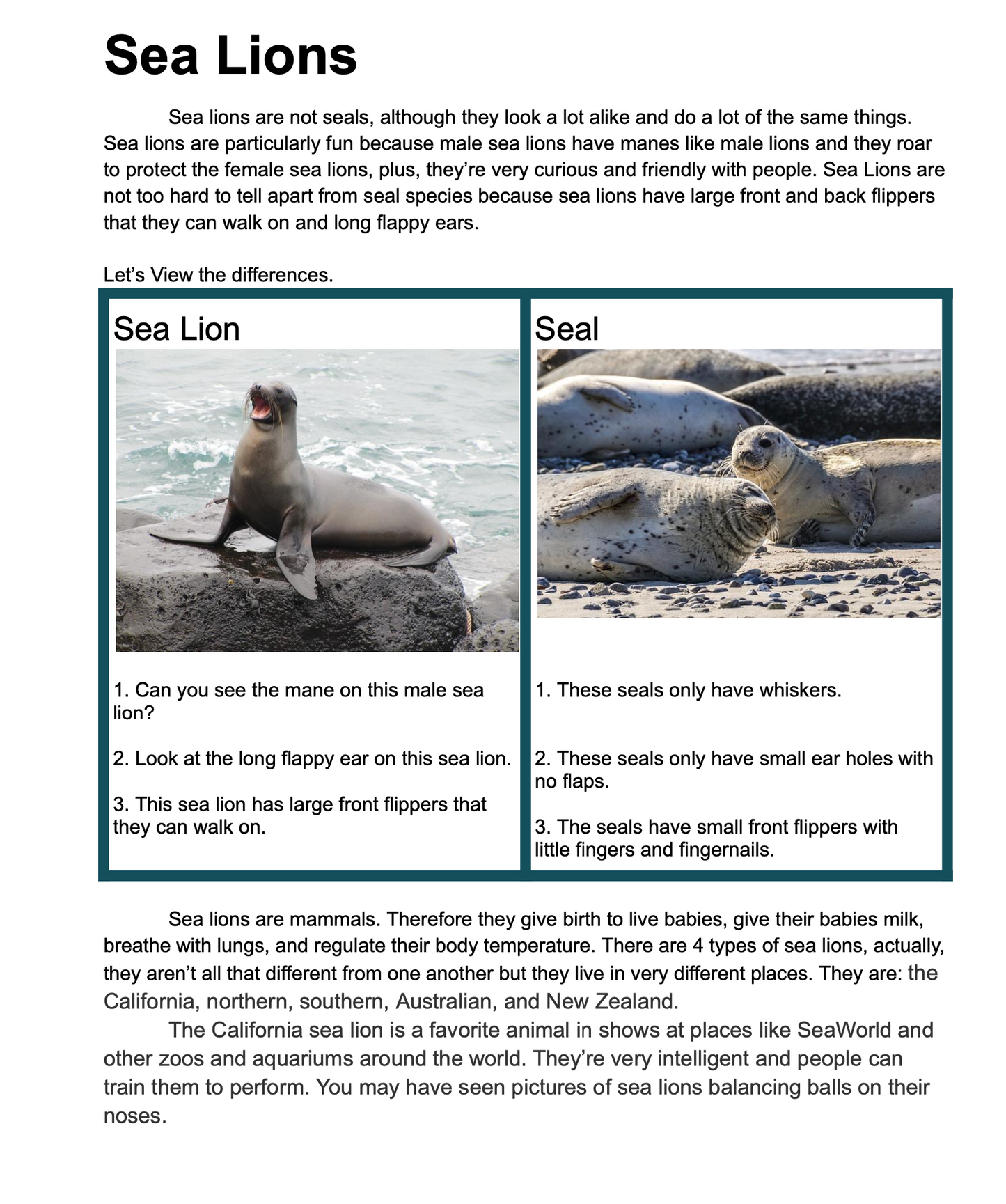 Ocean Mammals for Elementary Ages