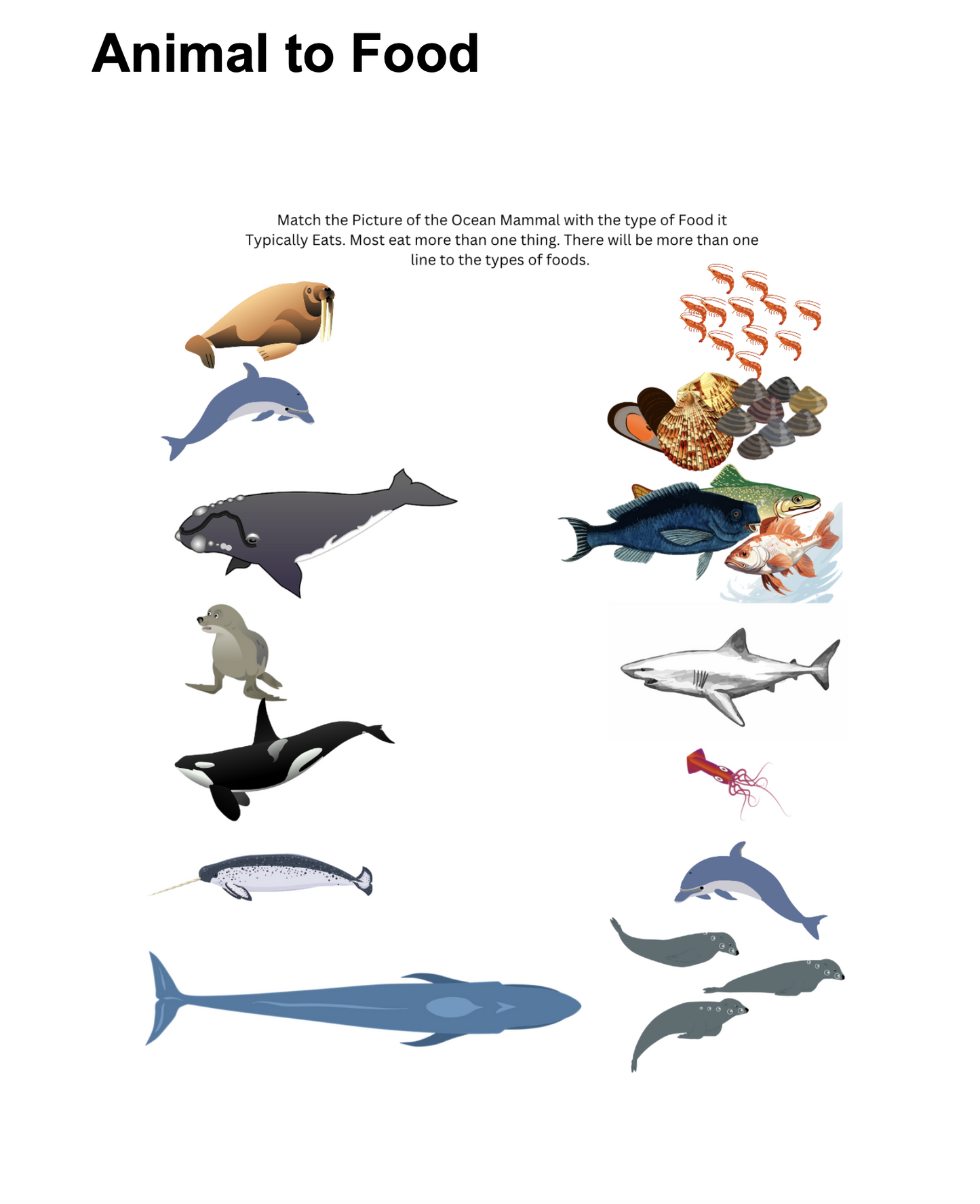 Ocean Mammals for Elementary Ages