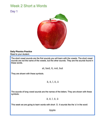 Learn to Read and Write: A Phonics Approach to Reading Level 1