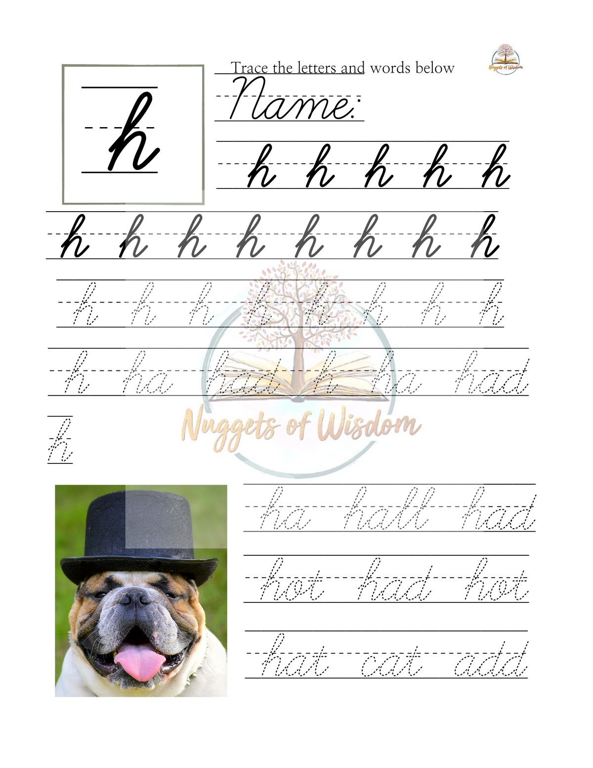 Track Cursive Text Lowercase Cursive Handwriting Tracing Workbook โ Nuggets of Wisdom