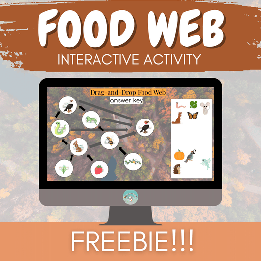 Food Web Digital Game -- Interactive Food Chain and Energy Flow Activity