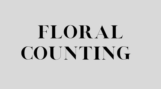 Floral Counting Flashcards