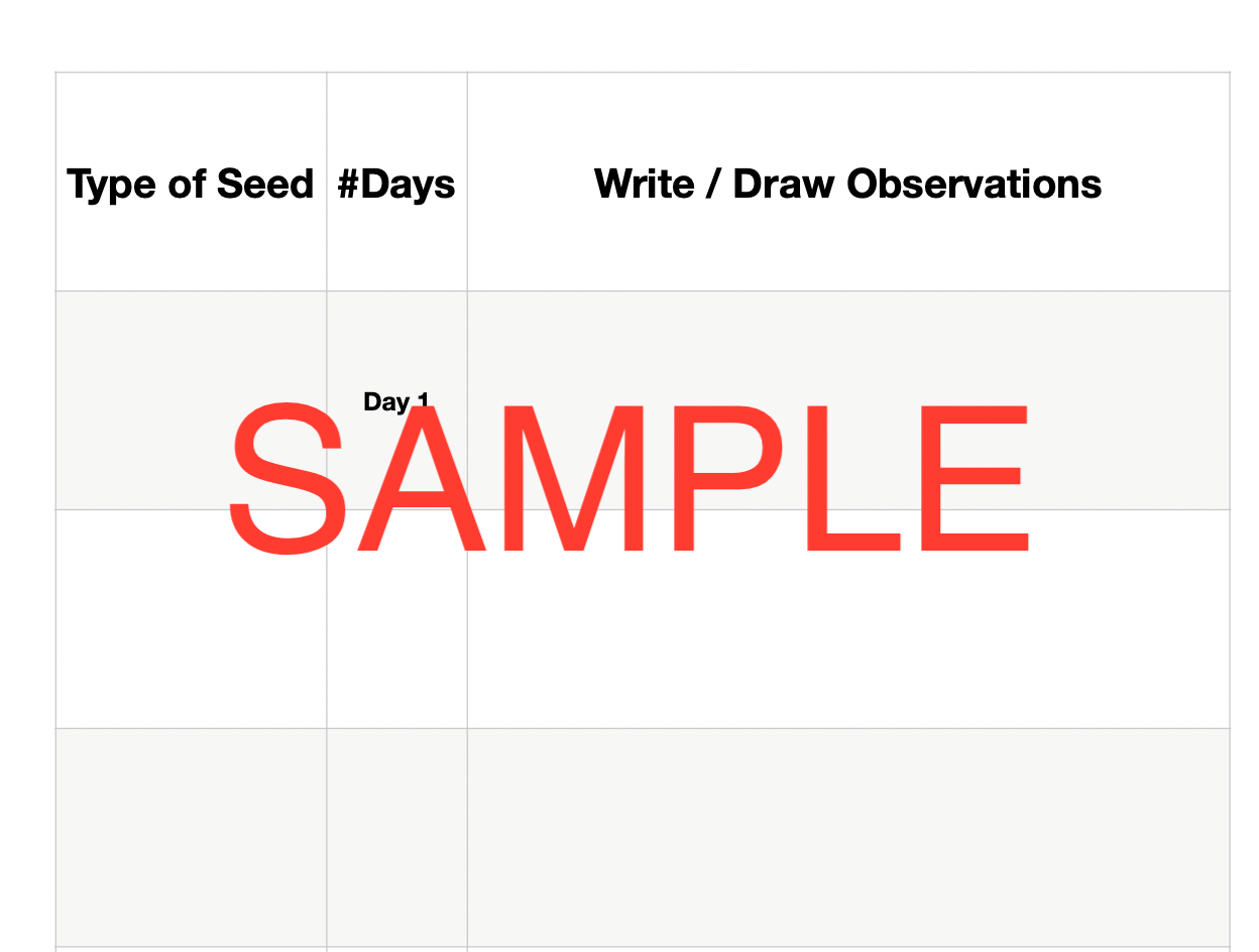 Sprouting Seeds Science Experiment Journal & Step-By-Step Instructions