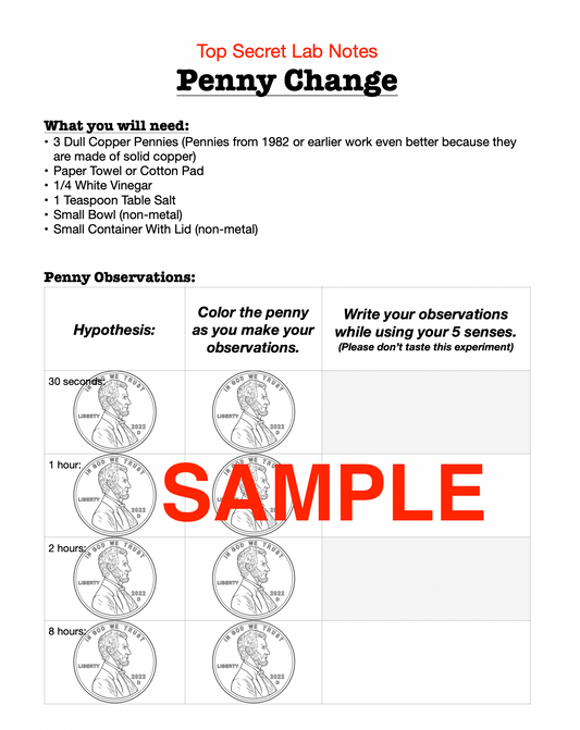 2-in-1 Shiny Pennies Science Experiment Journal & Step-By-Step Instructions