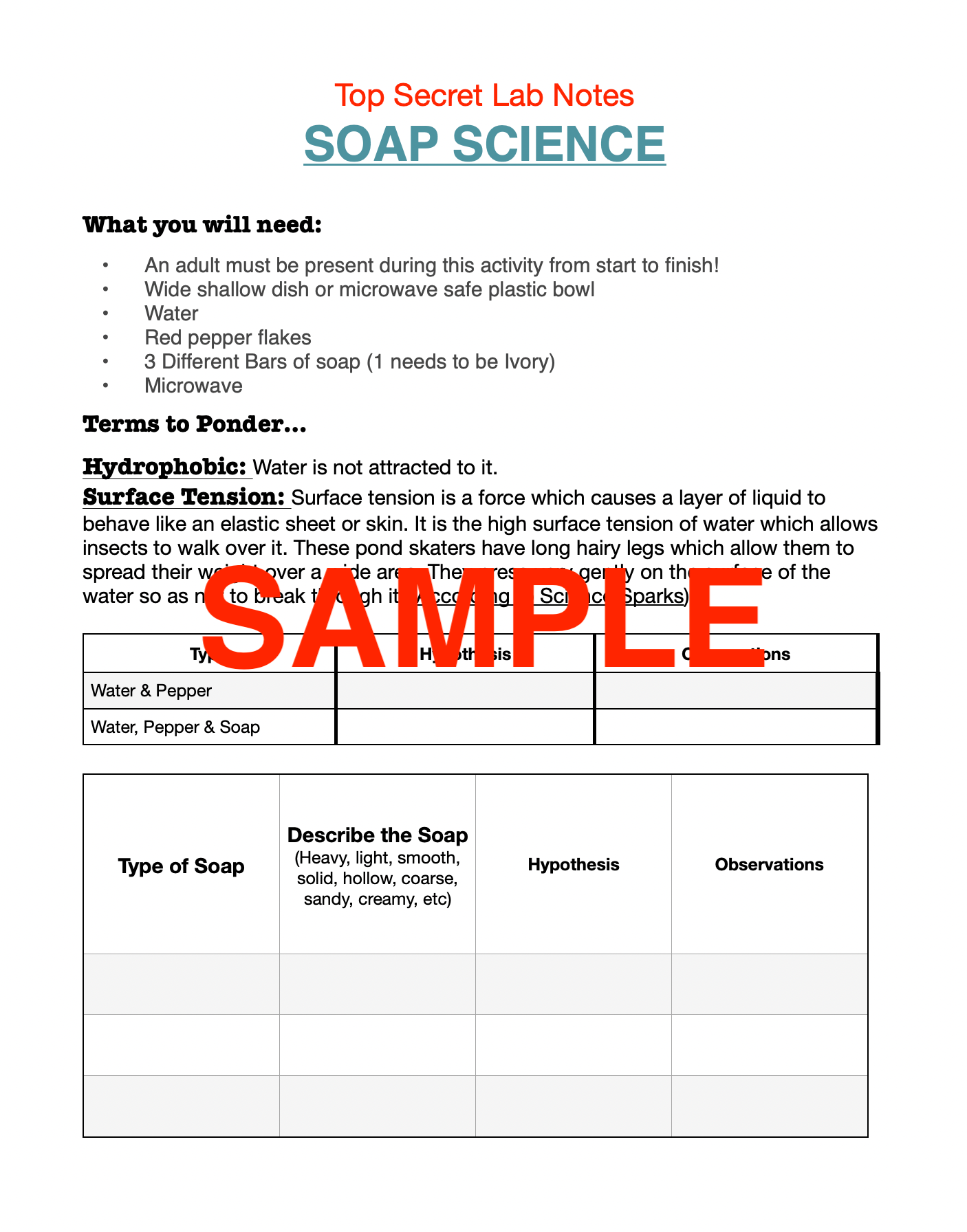 2-in-1 Soap Science Experiments Journal & Step-By-Step Instructions ...